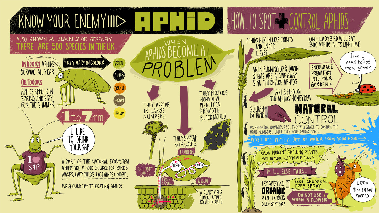 Aphid Poster – Digital Download