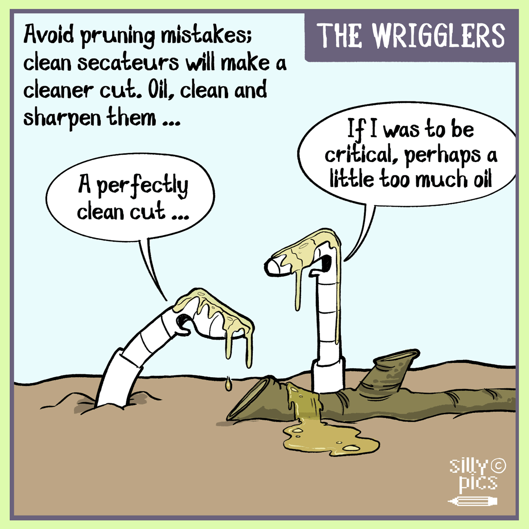 The wrigglers–winter-pruning-mistakes