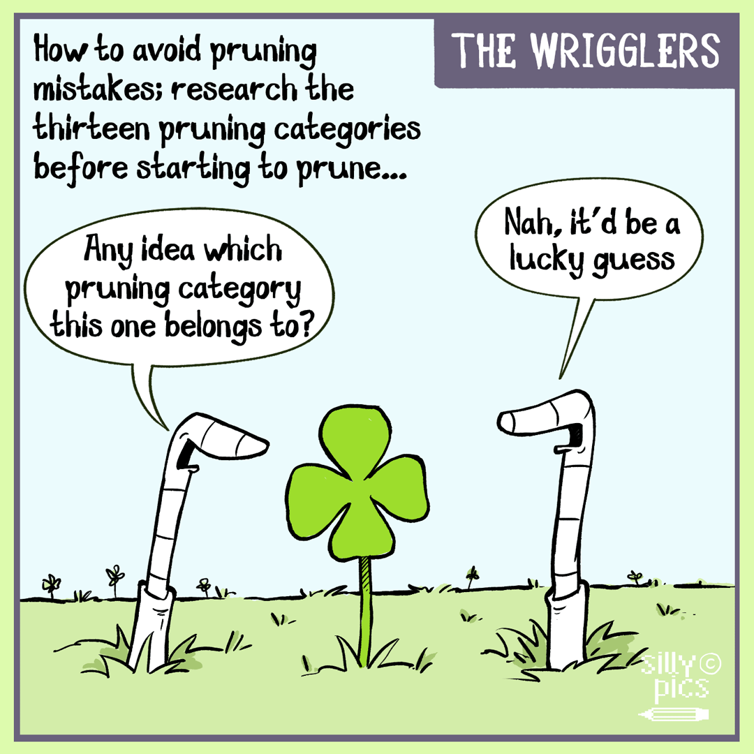 The wrigglers–winter-pruning-mistakes