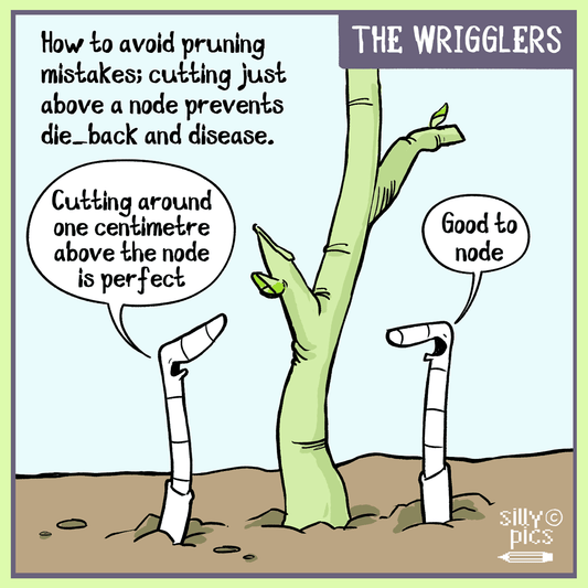 The wrigglers–winter-pruning-mistakes