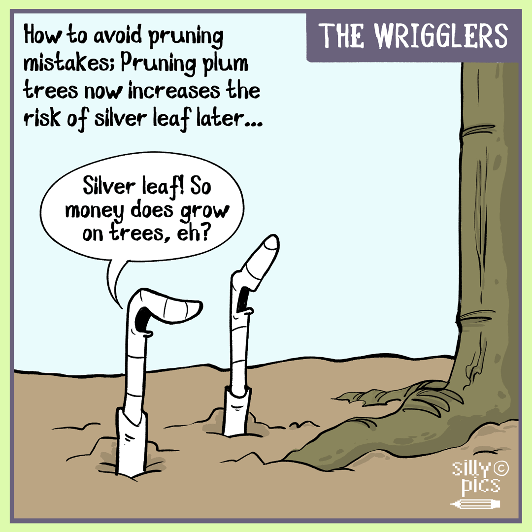 The wrigglers–winter-pruning-mistakes