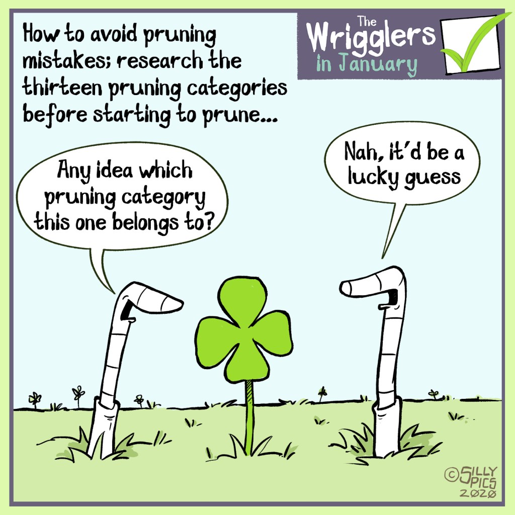 Cartoon about pruning categories – don't leave it to luck do your research