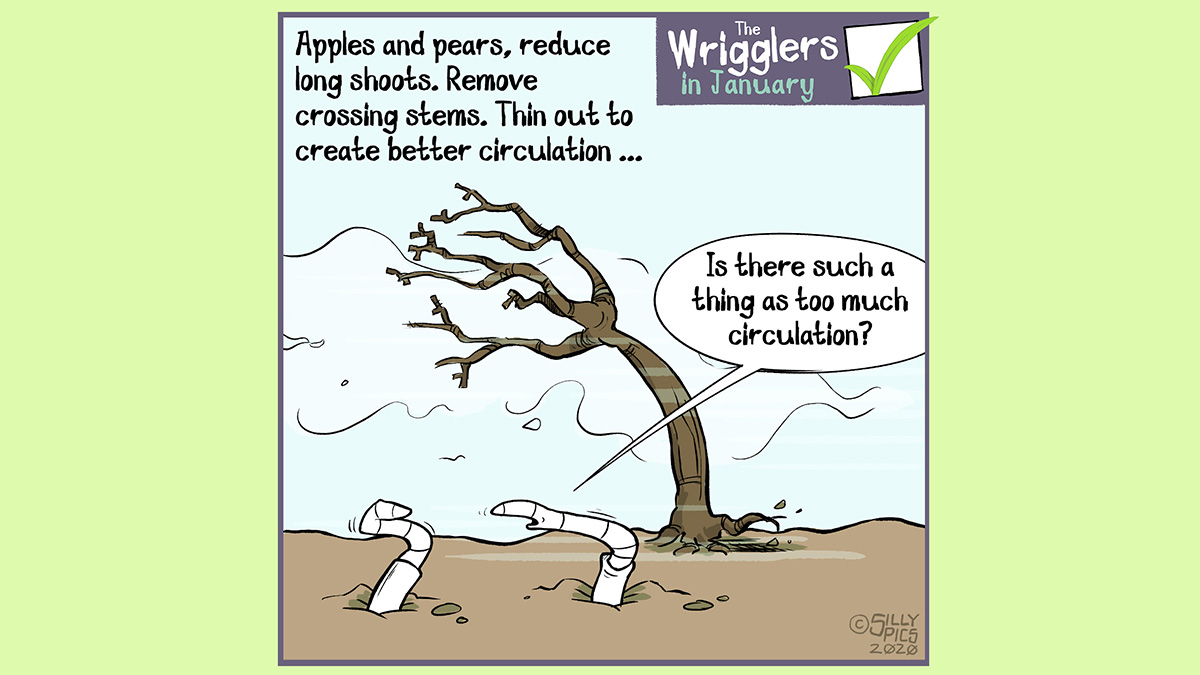 Cartoon for pruning, it creates good circulation in the plant's framework