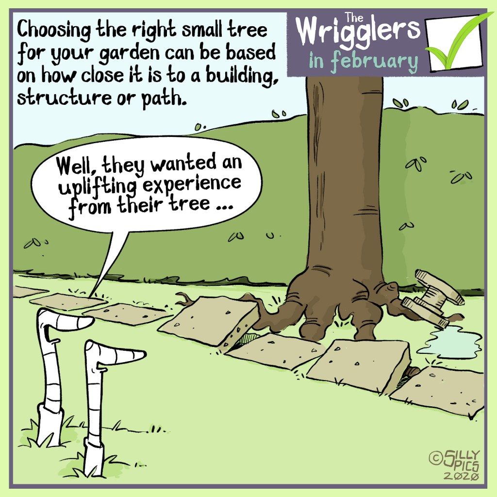 cartoon about choosing trees for your garden, being carefull of root growth