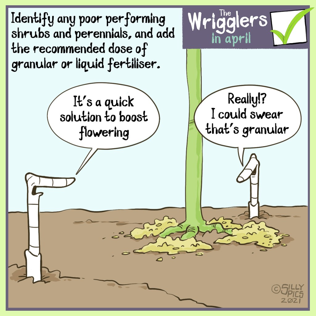 Identify any poor performing shrubs and perennials, and add the recommended dose of granular or liquid fertiliser. The cartoon shows two worms at the foot of a plant looking at some granular fertiliser sprinkled at the base. One worm says, ”It’s a quick solution to boost flowering”. The other worm says, “ Really? I could swear that’s granular.”
