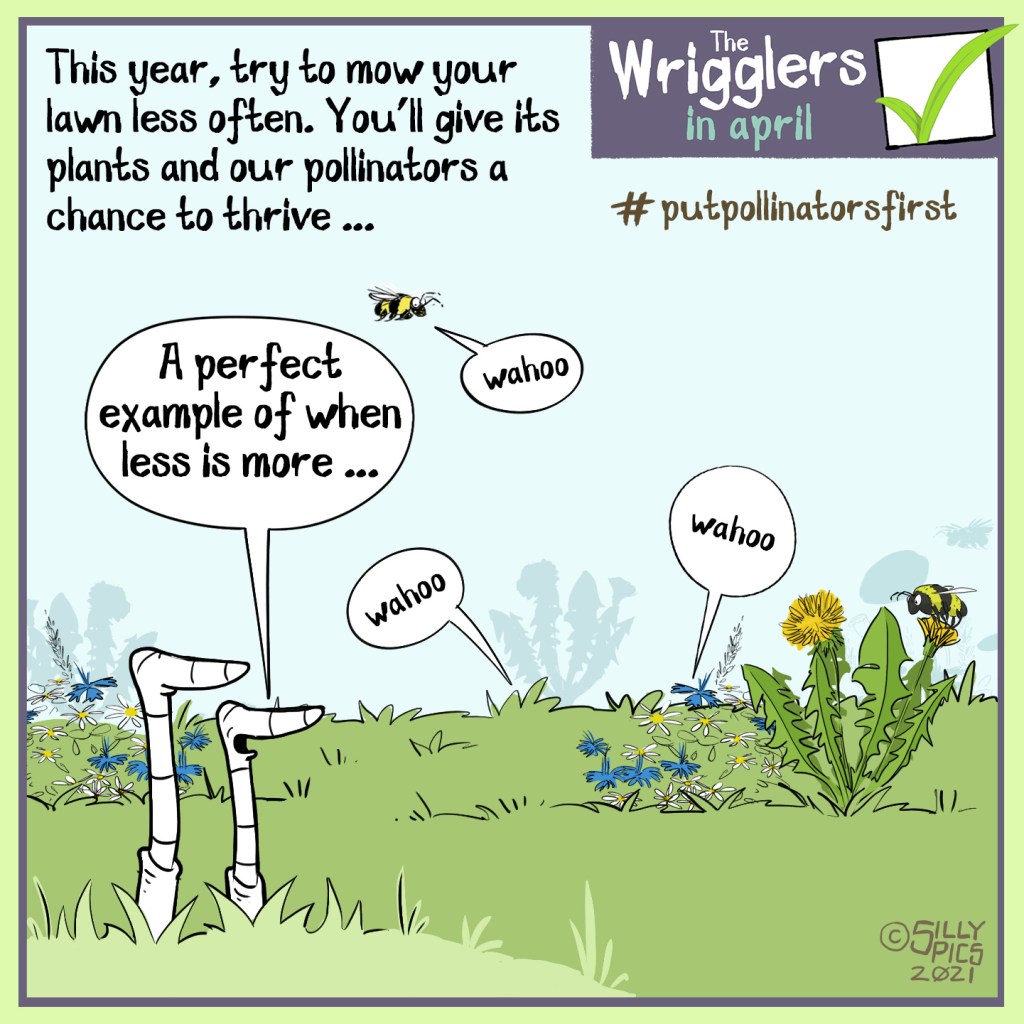 #pupollinatorsfirst cartoon about mowing your lawn. The cartoon says: This year try to mow our lawn less often. You’ll give its plants and pollinators a chance to thrive. The image is of two worms looking at a thriving garden, plants in the lawn, like dandelions, with insects and pollinators all shouting ‘Wahoo”. Two worms are talking, one says, “A perfect example of when less is more”
