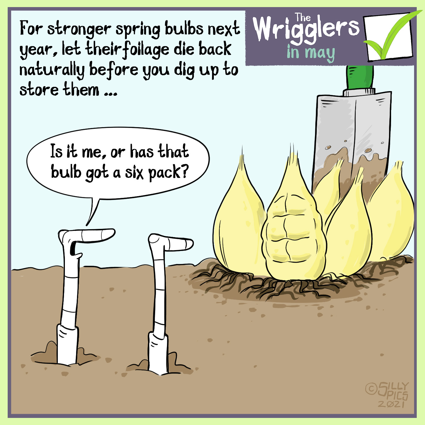 The headline says, “ For stronger bulbs next year, let their foliage die back naturally before you dig up and store them …The cartoon shows two worms looking at some bulbs that have been dug up. One of the bulbs is rippled in what looks like muscle. One of the worms says, “Is it me or has that bulb got a six pack?”
