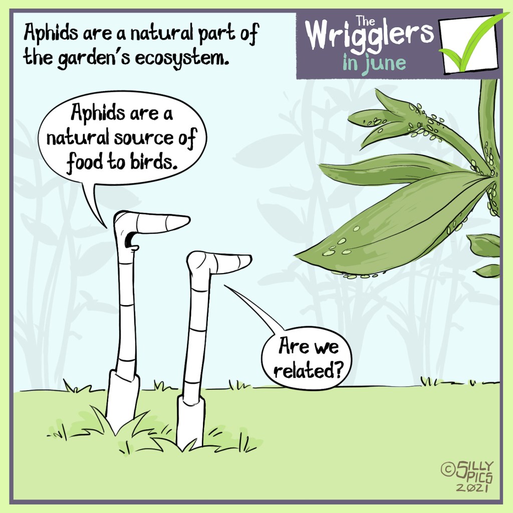 The cartoon headline says, “Aphids are a natural part of the garden’s ecosystem” The cartoon shows two worms looking at a plant with aphids on it. One work says to the other, “ Aphids are a natural source of food to birds” The other worm, looking at the aphids, asks, “Are we related?   #putpollinatorsfirst