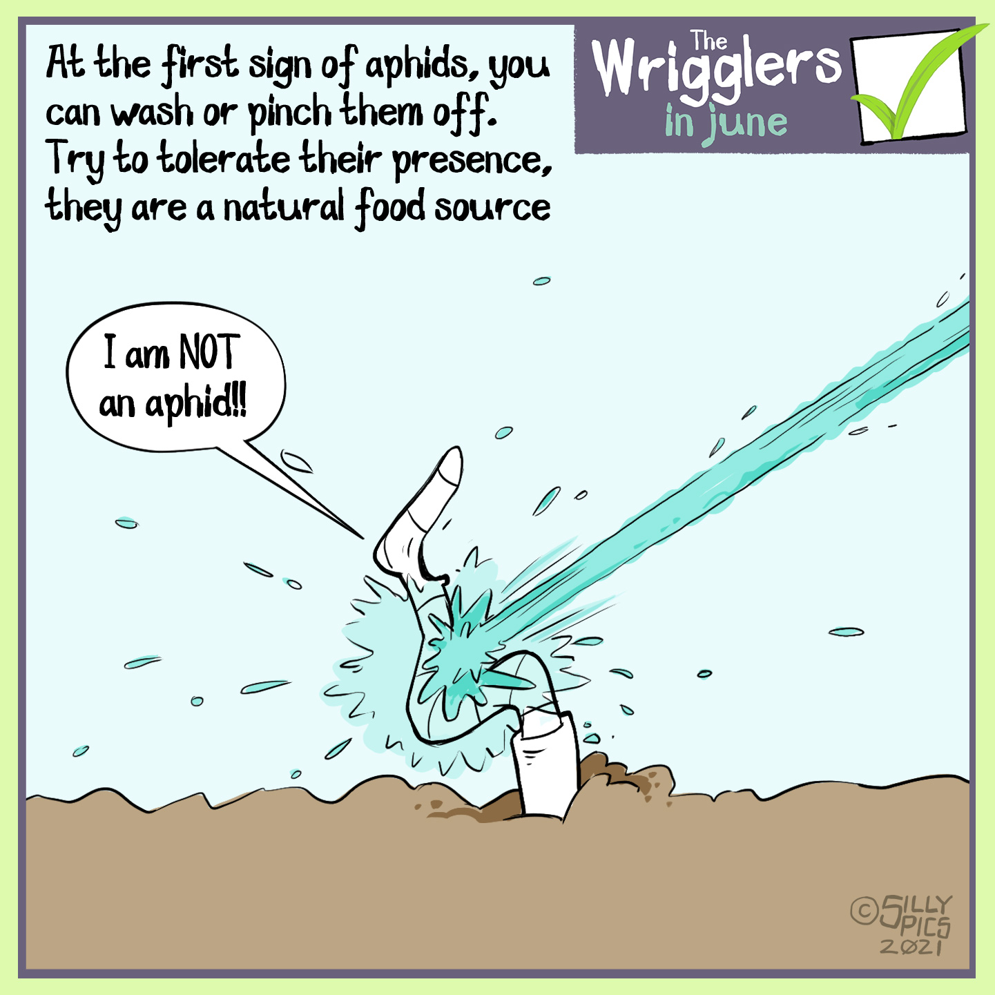 The cartoon headline says, “At the first sign of Aphids you can wash them or pinch them off. Try to tolerate their presence, they are a natural food source.” The cartoon is of a worm being sprayed by a jet of water, it says, “ I am NOT an Aphid!” #putpollinatorsfirst