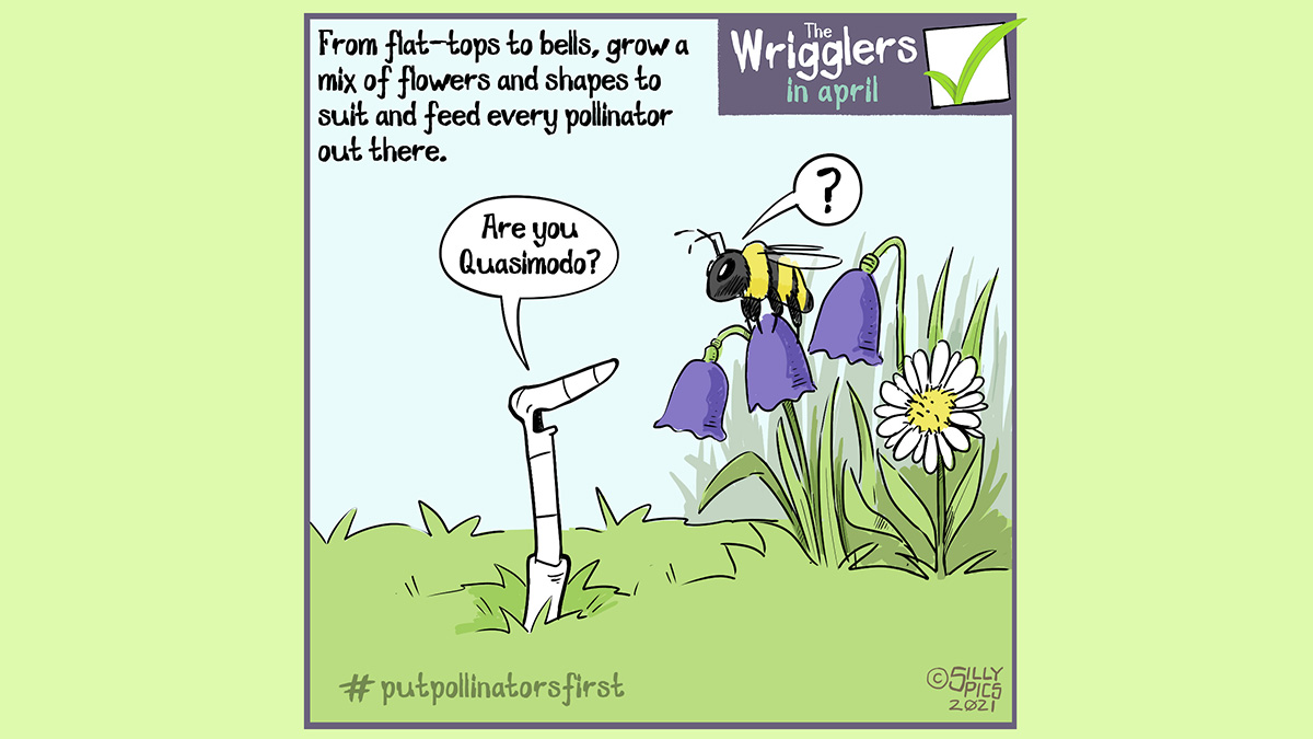 The cartoon headline says, “From flat tops to bells, grow a mix of flowers and shapes to suit and feed every type of pollinator out there … The cartoon shows a bee on top of a bell shaped flower. A worm asks the bee, “ Are you Quasimodo?” The bee looks puzzled and, says, “?” #putpollinatorsfirst
