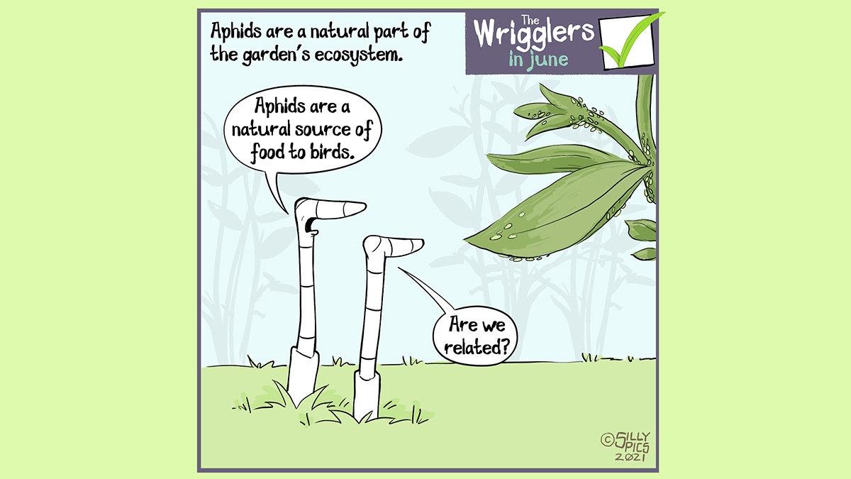 The cartoon headline says, “Aphids are a natural part of the garden’s ecosystem” The cartoon shows two worms looking at a plant with aphids on it. One work says to the other, “ Aphids are a natural source of food to birds” The other worm, looking at the aphids, asks, “Are we related? #putpollinatorsfirst