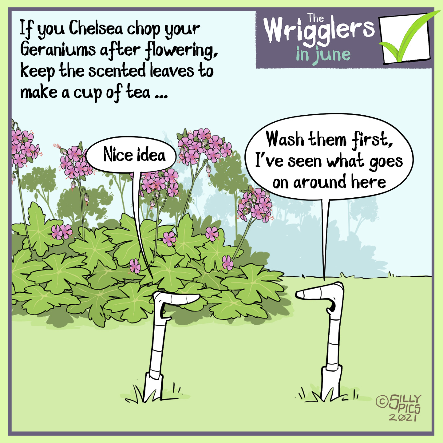The cartoon reads, If you Chelsea chop your Geraniums after flowering, keep the scented leaves to make a cup of tea The cartoon is of two worms in front of a geranium in flower. One one says, “ Nice idea …” The other work says, “Wash them first, I’ve seen what goes on around here.”