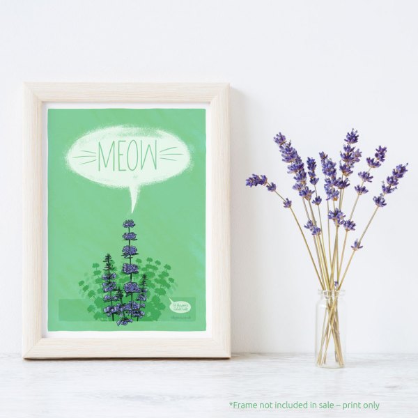 The Catmint print framed with a flower pot of lavender. This is an example only, the frame is not supplied, just the print