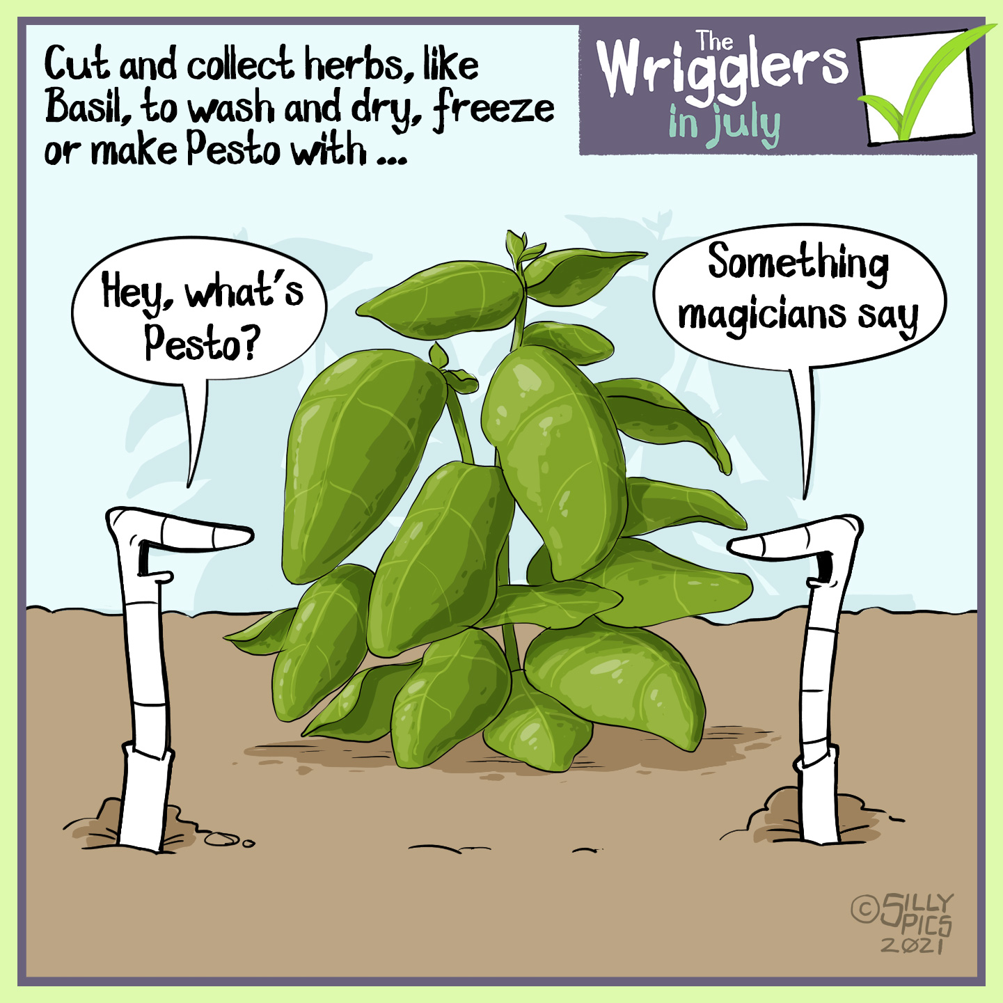 Cut and collect herbs, like Basil, to wash and dry, store in the freezer or make pesto with this month … Two worms are looking at a Basil plant, one worm says, “ Hey, what’s Pesto? …” The other worm says, “Something magicians say”